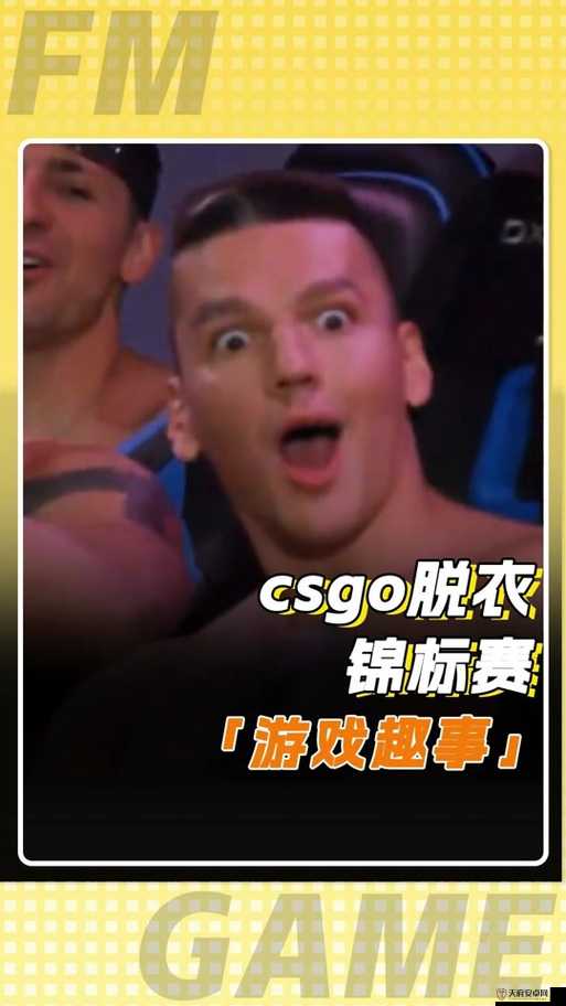 俄罗斯卖 CSGO 的网站免费进入：背后的秘密与注意事项